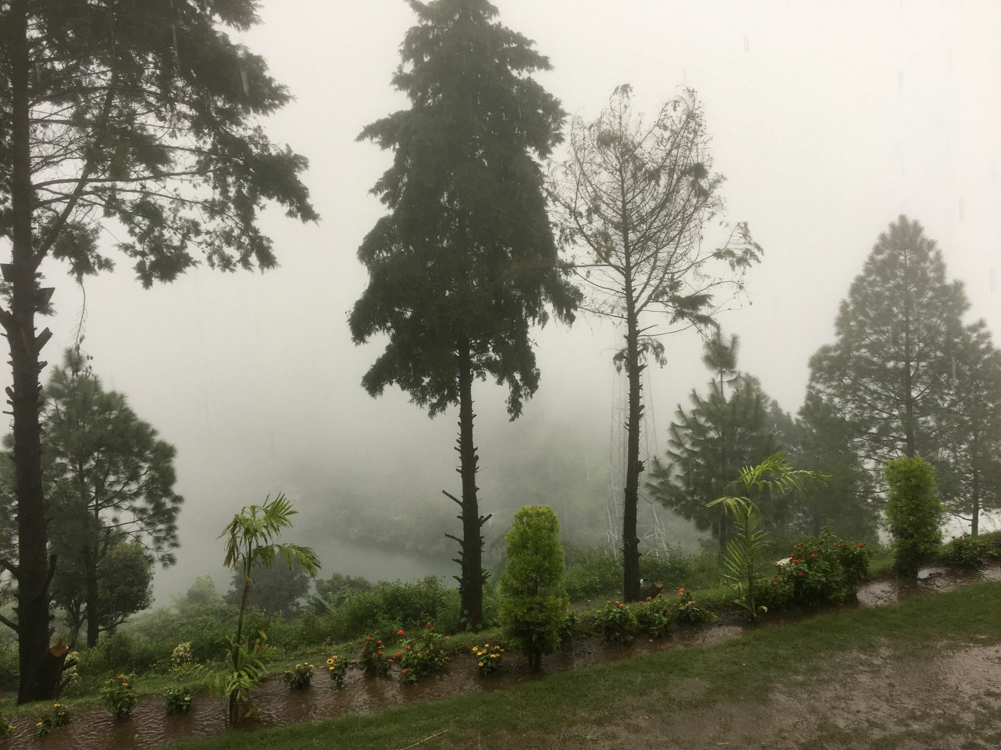 Nainital Adventure Park & Resort Ngoại thất bức ảnh